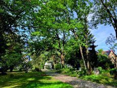 Vom Dorffriedhof zum Stadtpark: Ihre Meinung ist gefragt!